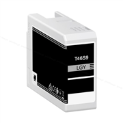 Epson T46S9 XL Light Gray